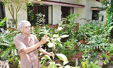 കന്നാട്ടുകുന്നിലെ ഔഷധ സസ്യ കലവറ